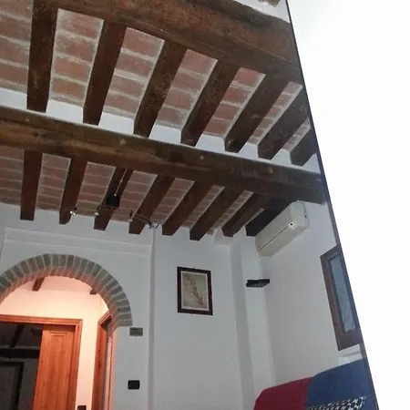 Rizzoli University