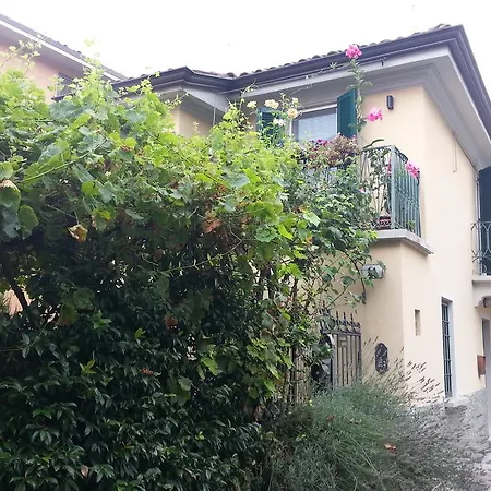 Rizzoli University Μπολόνια